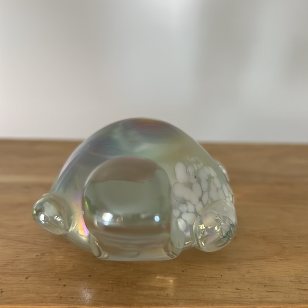 Turtle - Picture 4 of 5